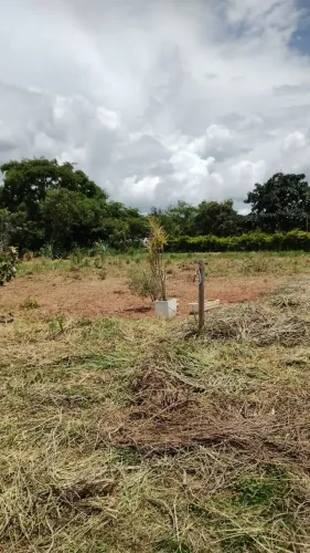 Lote a venda, condomínio Ecovila Santa Branca