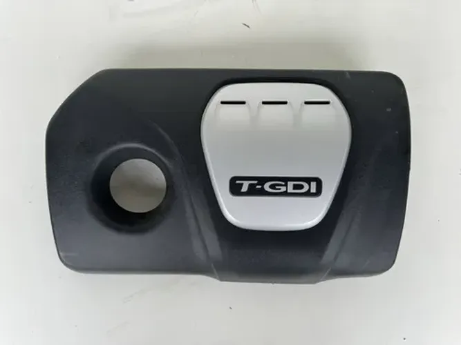 Capa Motor Hyundai New Tucson