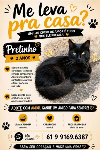 Doa se um gatinho