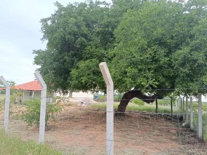 Vende-se Excelente propriedade com 11 ha em Serra Talhada-PE 