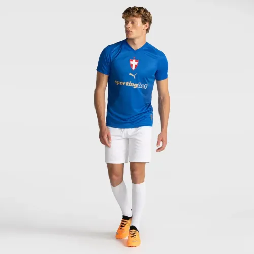 Camisa do Palmeiras III 2026/27 Puma Torcedor