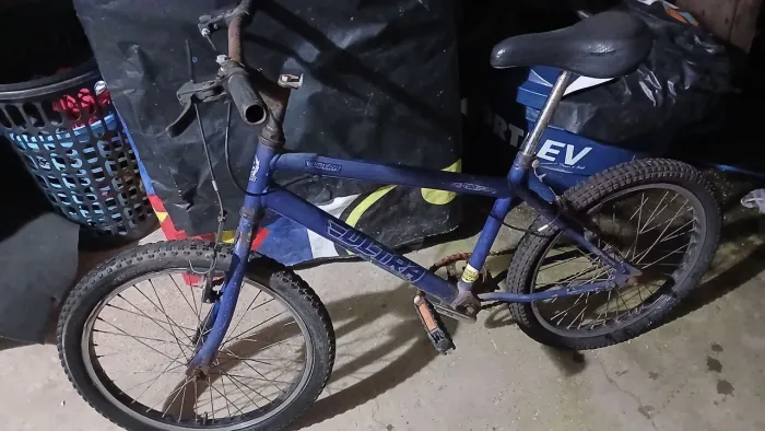 Bicicleta