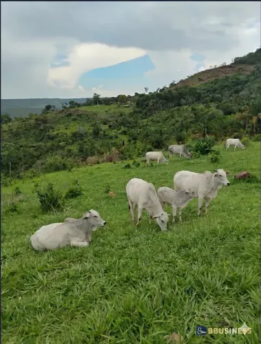 Fazenda à venda, R$ 2.430.000, Monte do Carmo, TO