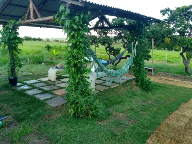 Vendo chácara de 5 hectares em nova Petrópolis