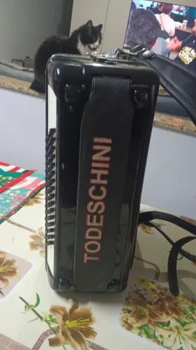 Acordeon