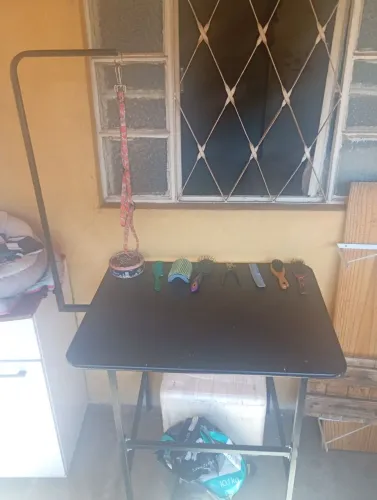 MESA DE CACHORRO