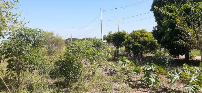 Terreno