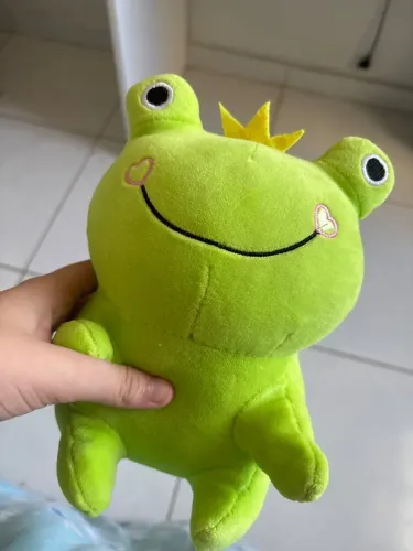 Sapo de pelúcia 