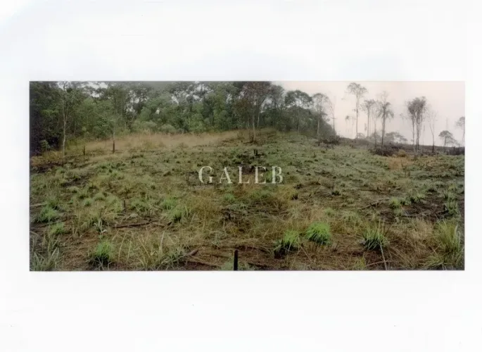 Excelente terreno no condomínio Recanto dos Palmares - 6.000 m² de área!