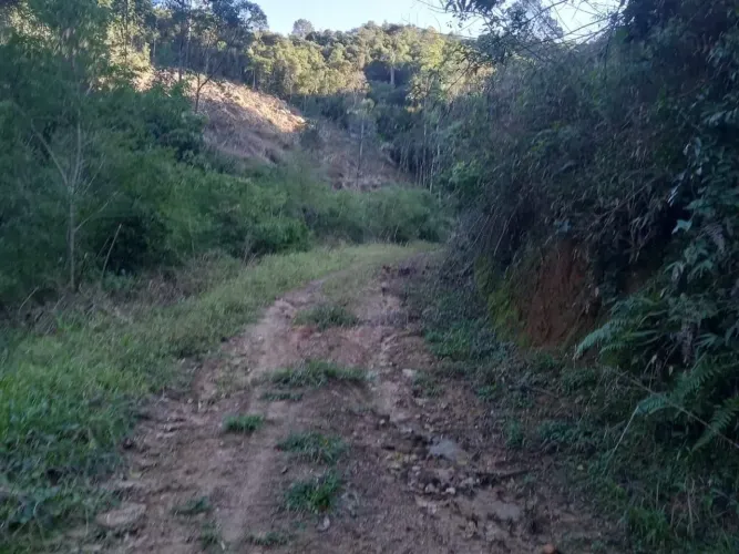 Sítio l Em Anitópolis a venda |