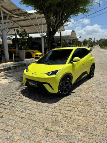 BYD Dolphin Mini (Elétrico) 2025