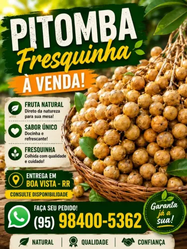 Pitomba atacado varejo