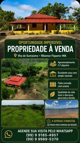 Chácara à venda na Ilha de Sumaúma - 1,7 alqueire