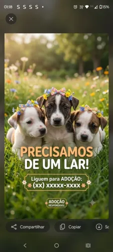 Doação 