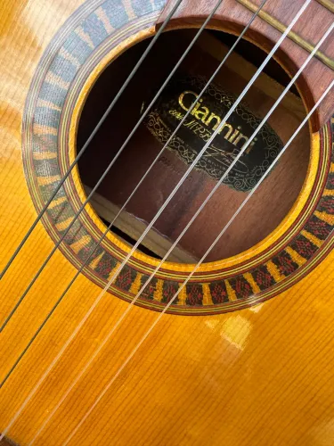 Violão Gianini com capa