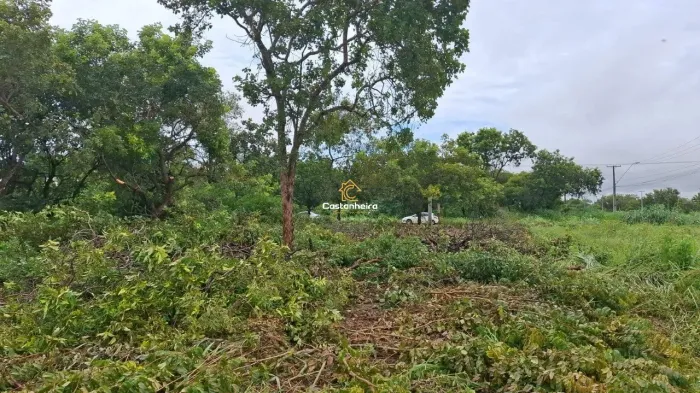 Lote - 660 m² - Plano Diretor Sul