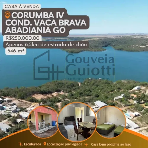 Vaca Brava