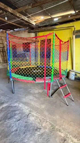 Vendo pula pula