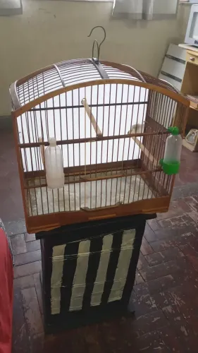 Vendo esta gaiola medidas abaixo!