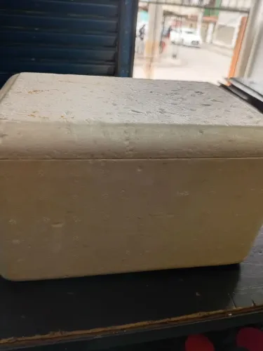 Caixa isopor pequeno 28x16
