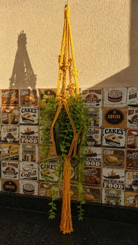 Suporte para Plantas de Macramê 