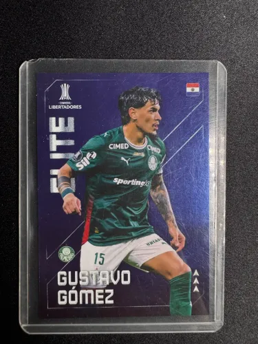 Card Libertadores - Gustavo Gomez