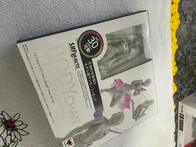 BODY CHAN DX SET[Gray Color Ver.]
