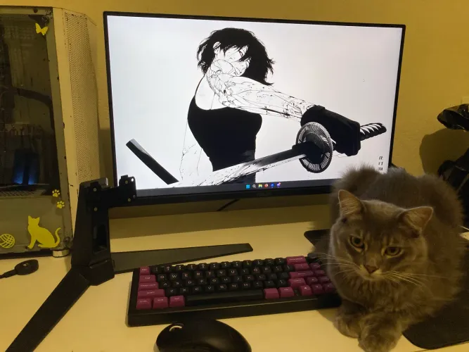 Monitor Gamer Asus 27? 165hz