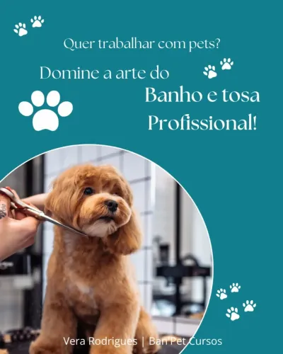 Cursos de banho e tosa