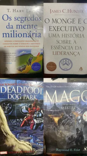 Vendo livros Novos