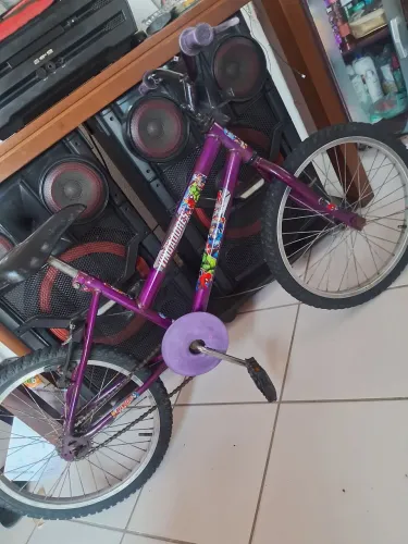 BICICLETA ARO 20