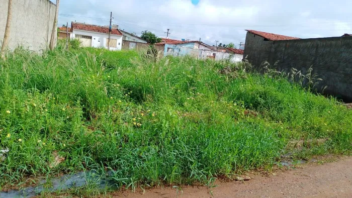 Terreno em coruripe/AL 