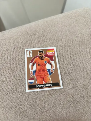 Cody gakpo bronze