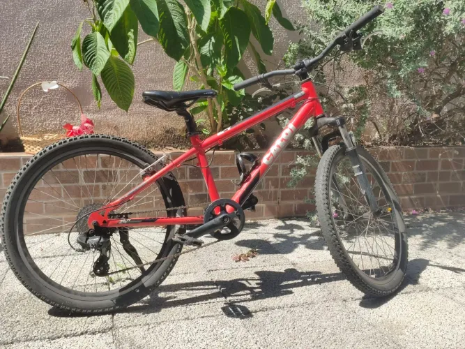 Bike Caloi infantil aro 24