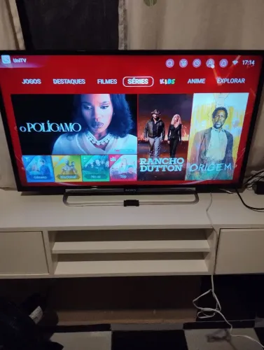 TV Sony 43 polegadas funcionando