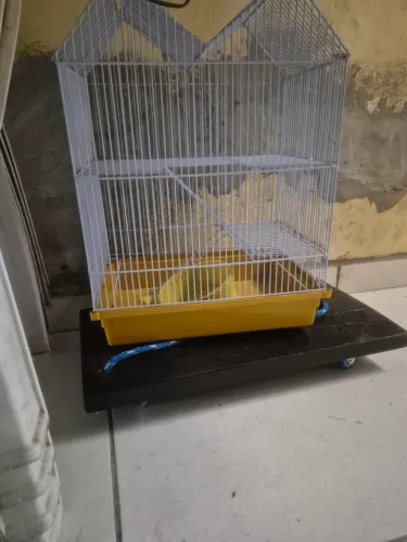 Vendo gaiola de hamster *
