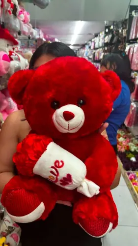 Urso de Pelúcia 40 cm