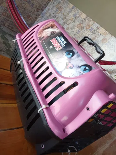 Caixa de transporte para pet