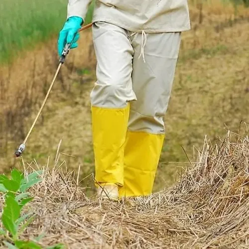 Controle de pragas, lavagem de tanque, capina química 