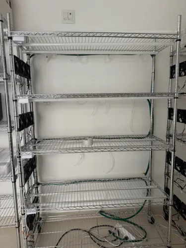 Estante iluminada para produção de mudas ou plantas em casa