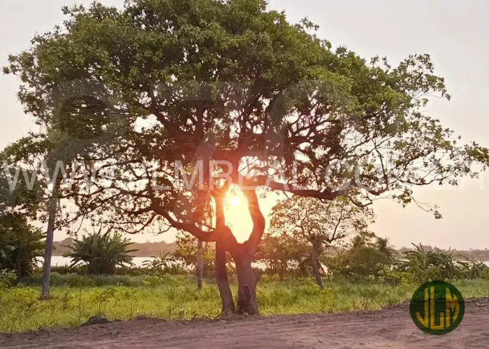 TERRENO PARA VENDA NO LOTEAMENTO LAGO MONTENEGRO - FORTALEZA - CE