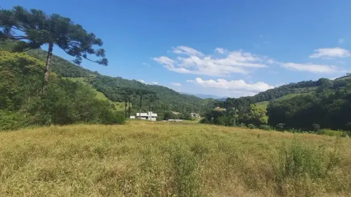 Sítio para venda possui 6000 metros quadrados em Santa Izabel - Águas Mornas - SC