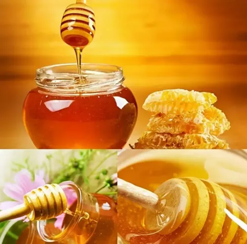 Mel de abelha puro direto do apiário 1,3kg