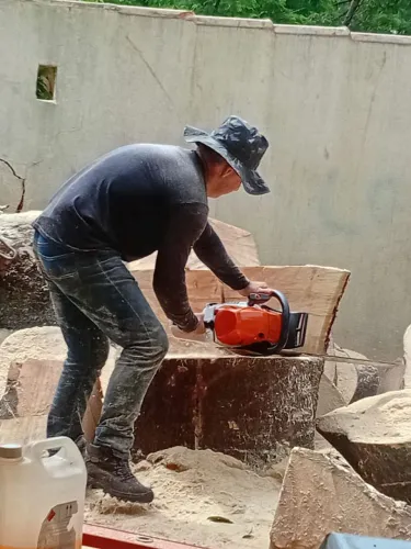 Poda de árvore em geral 