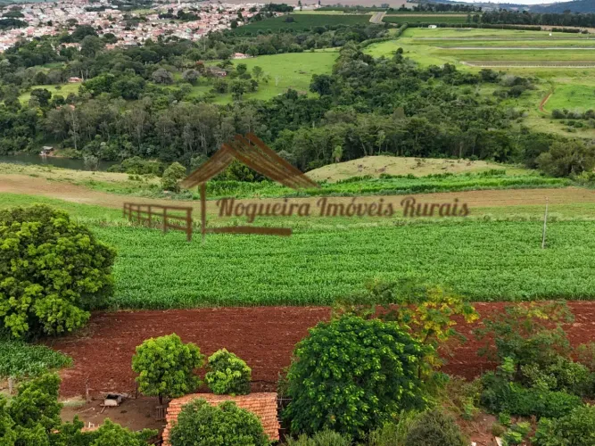 Sítio com 8 alqueires à venda na região de Piraju-SP