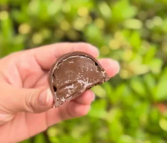 Trufas Artesanais Recheadas | Doces Gourmet de Chocolate