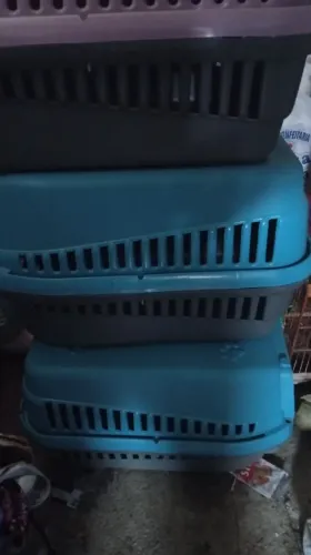 Trasporte para gato 