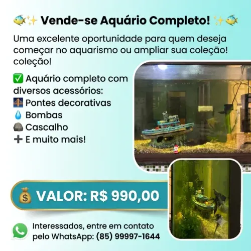 Aquário todo montado 1,20 comprimento * 0,25cm largura * 0,60cm altura