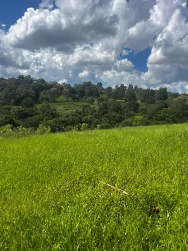 Sítio colado na cidade de ibema