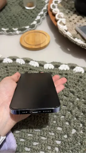 iPhone 13pro
